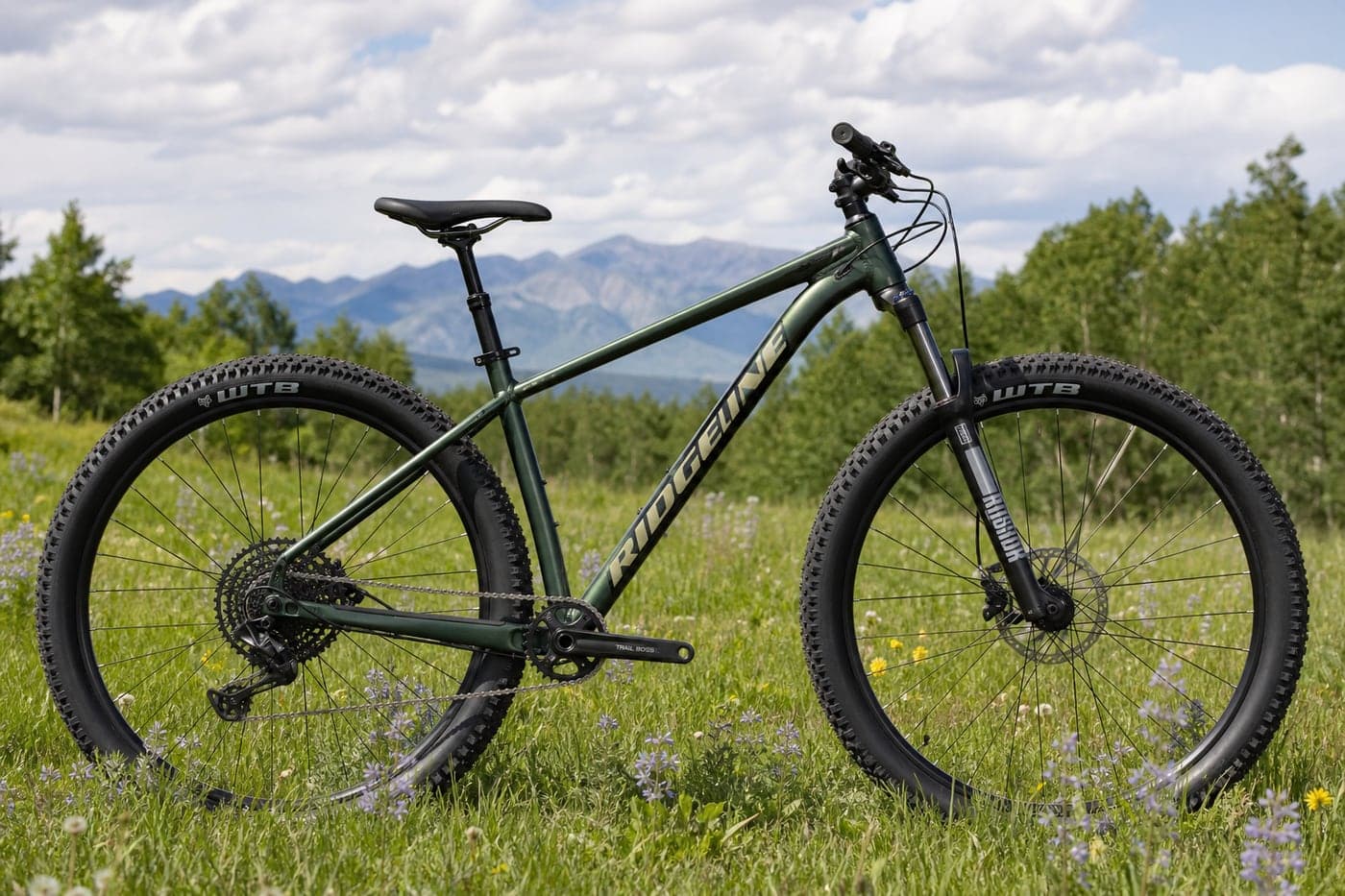 Standard mountain bike standing in a green flower meadow outdoors